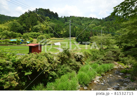 八王子の里山 陣馬街道恩方の初夏 八王子の里山 陣馬街道恩方の初夏 81532715