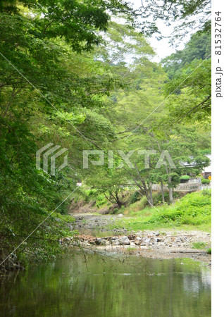 八王子の里山 陣馬街道恩方の初夏 八王子の里山 陣馬街道恩方の初夏 81532764