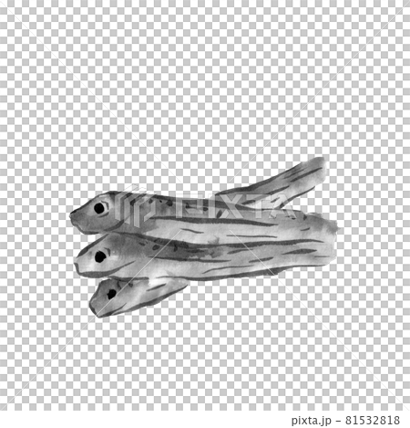 過年菜（水墨手繪插畫） 81532818