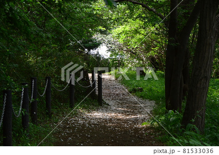 片倉つどいの森公園　八王子市 81533036
