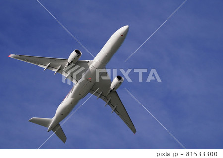 コンタクトディパーチャー 81533300