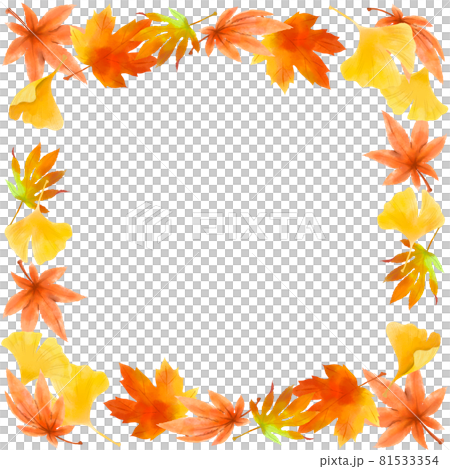 秋、紅葉の装飾素材-正方形 秋、紅葉の装飾素材-正方形 81533354