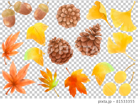 秋の紅葉と木の実 81533355