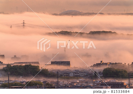 《東京都》朝霧の街並み・八王子周辺 81533684
