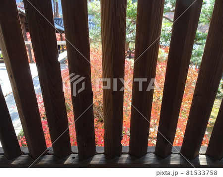 京都の紅葉名所をめぐる 東福寺 京都の紅葉名所をめぐる 東福寺 81533758