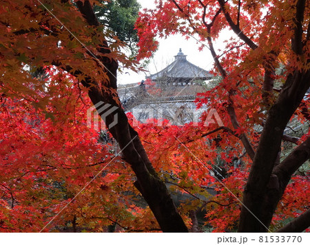 京都の紅葉名所をめぐる 東福寺 京都の紅葉名所をめぐる 東福寺 81533770