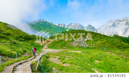 夏の唐松岳登山：八方尾根の風景（八方山ケルン～八方池） 81534193