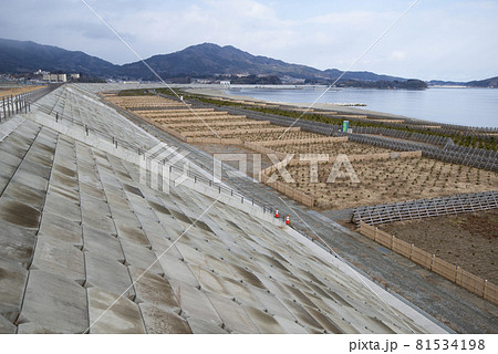 陸前高田市の防潮堤 81534198