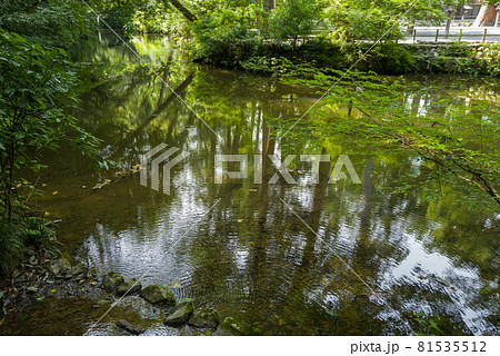 伊勢神宮 外宮 御池 伊勢神宮 外宮 御池 81535512