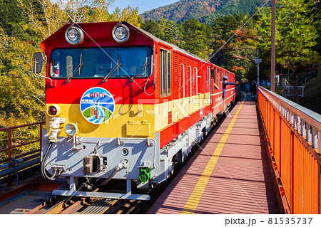日本の車窓から 紅葉の大井川鐵道井川線 奥大井湖上駅 日本の車窓から 紅葉の大井川鐵道井川線 奥大井湖上駅 81535737