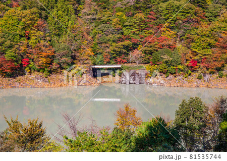 日本の車窓から　紅葉の大井川鐵道井川線 81535744