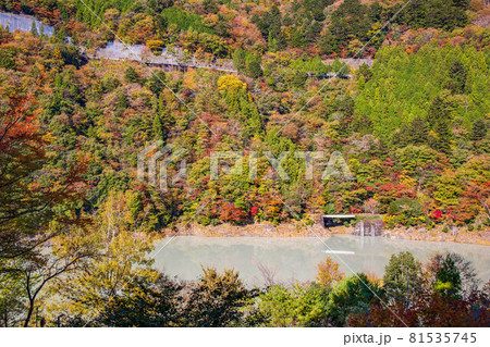 日本の車窓から　紅葉の大井川鐵道井川線 81535745