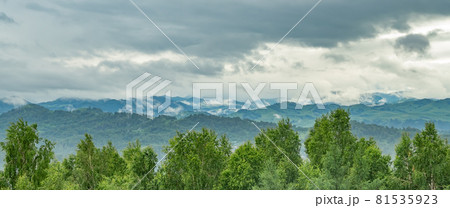 gloomy landscape of a high altitude valley in rainy weather with fogs on the background of tree branches gloomy landscape of a high altitude valley in rainy weather with fogs on the background of tree branches 81535923