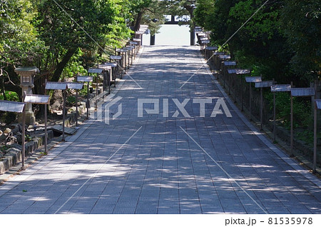 出雲大社 参道 出雲大社 参道 81535978