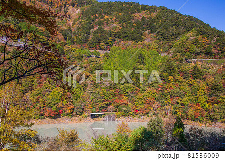 日本の車窓から 紅葉の大井川鐵道井川線 日本の車窓から 紅葉の大井川鐵道井川線 81536009