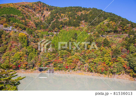 日本の車窓から　紅葉の大井川鐵道井川線 81536013