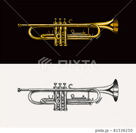 Jazz instrument trumpet. Vector illustration classical wind musical apparatus in doodle outline Jazz instrument trumpet. Vector illustration classical wind musical apparatus in doodle outline 81536250