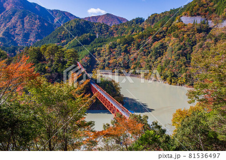 日本の車窓から　紅葉の大井川鐵道井川線　奥大井湖上駅 81536497