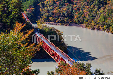 日本の車窓から　紅葉の大井川鐵道井川線　奥大井湖上駅 81536498
