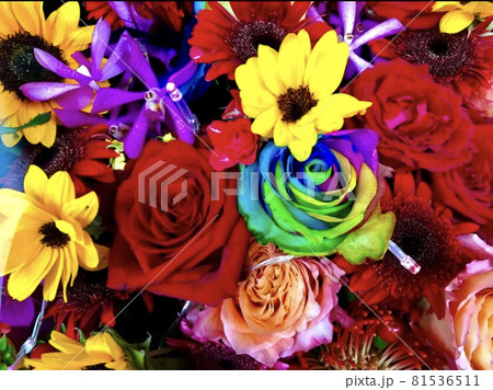薔薇 薔薇 81536511