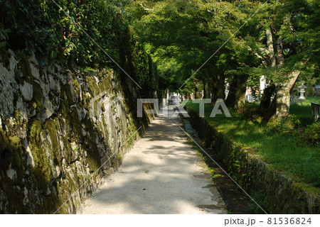 石積みのある歩道の風景 石積みのある歩道の風景 81536824