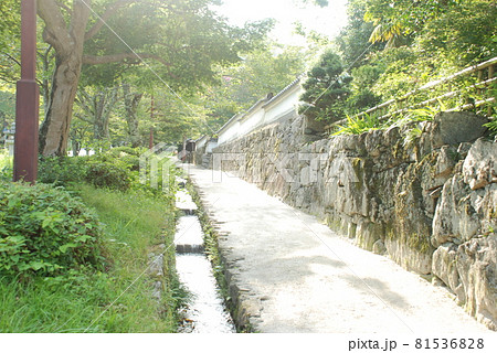 石積みのある歩道の風景 81536828