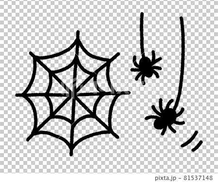 Two spiders and a spider web Two spiders and a spider web 81537148