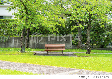 自然に恵まれた多摩ニュータウンの公園に置かれたベンチ 81537429