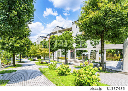 自然に恵まれた多摩ニュータウンの住宅街 81537486