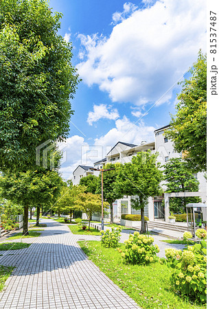 自然に恵まれた多摩ニュータウンの住宅街 81537487