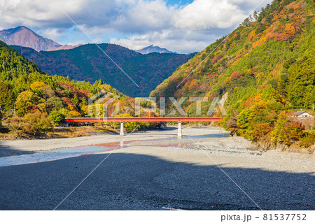 日本の車窓から 紅葉の大井川鐵道井川線 日本の車窓から 紅葉の大井川鐵道井川線 81537752