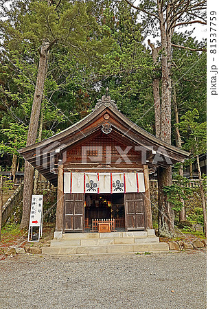 諏訪大社上社本宮（諏訪） 81537759