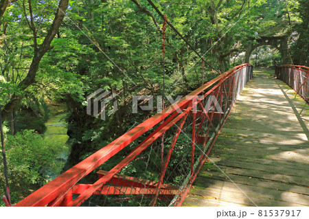 鹿教湯温泉　紅葉橋 81537917