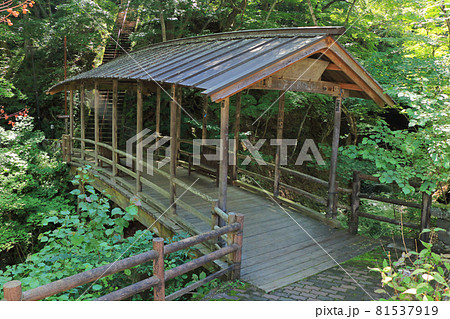 鹿教湯温泉 五台橋 81537919