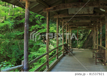 鹿教湯温泉 五台橋 81537921