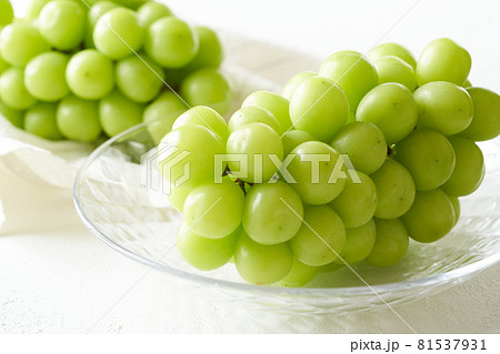 グラスの器に盛られたシャインマスカット グラスの器に盛られたシャインマスカット 81537931
