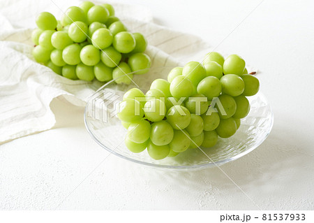 グラスの器に盛られたシャインマスカット グラスの器に盛られたシャインマスカット 81537933