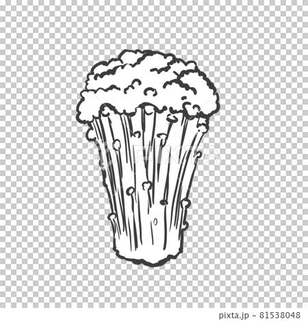 えのき茸の和風手描き線画イラスト えのき茸の和風手描き線画イラスト 81538048