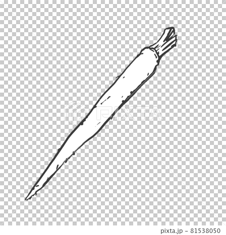 ゴボウの和風手描き線画イラスト 81538050