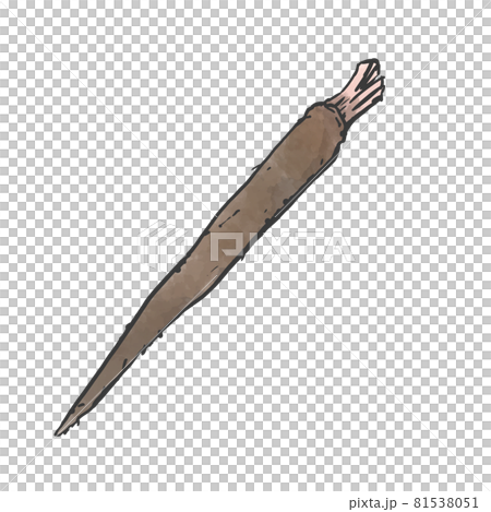 Japanese style hand-drawn illustration of burdock Japanese style hand-drawn illustration of burdock 81538051