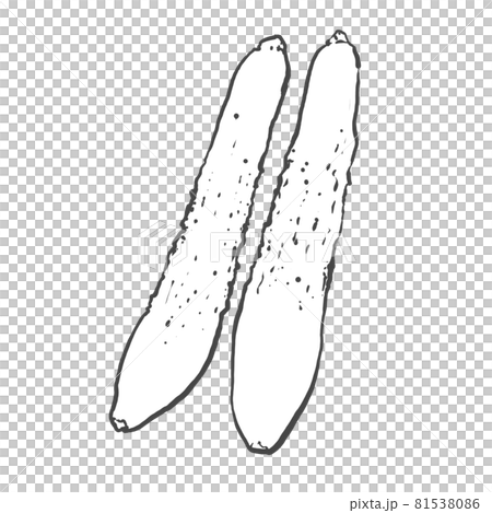 きゅうりの和風手描き線画イラスト 81538086