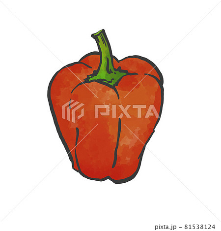 赤パプリカの和風手描きイラスト 赤パプリカの和風手描きイラスト 81538124
