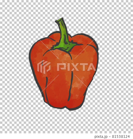 Japanese style hand-drawn illustration of red paprika Japanese style hand-drawn illustration of red paprika 81538124