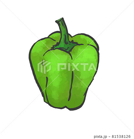 パプリカの和風手描きイラスト 81538126