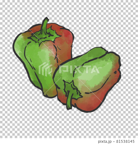 ピーマンの和風手描きイラスト ピーマンの和風手描きイラスト 81538145