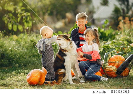 Cute childresn sitting on a garden near many pumpkins Cute childresn sitting on a garden near many pumpkins 81538261