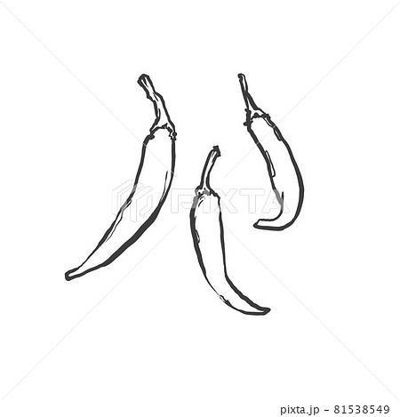 唐辛子の和風手描き線画イラスト 81538549