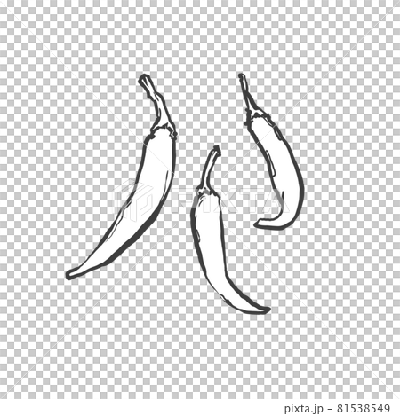 唐辛子の和風手描き線画イラスト 81538549