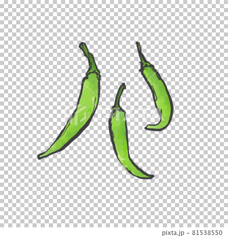 青唐辛子の和風手描きイラストのイラスト素材