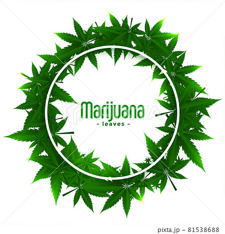 Cannabis Marijuana Weed Frames With Leavesのイラスト素材